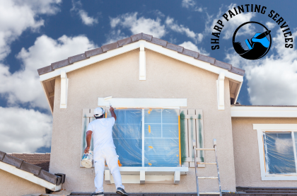 Expert Residential Painter in Mona Vale working.